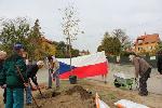 obrázek - Lípa republiky Kozlovice