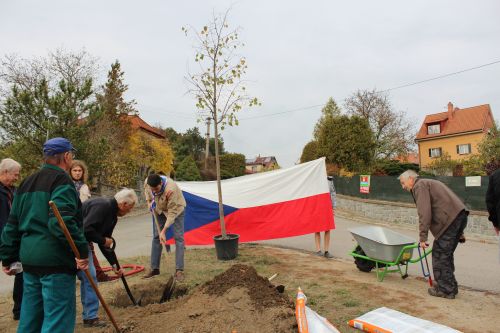 Foto - Lípa republiky Kozlovice