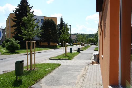 Foto - Výsadba hlohů