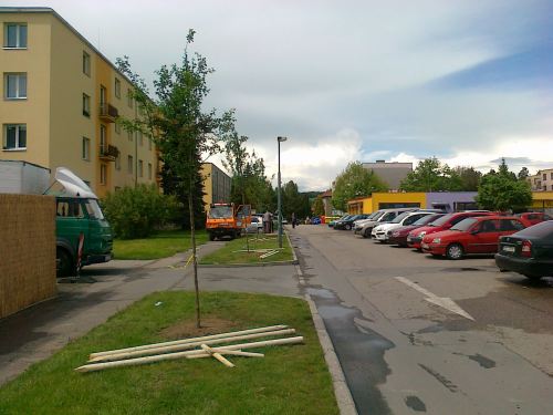 Foto - Výsadba hlohů 
