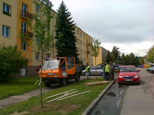 Foto - Výsadba hlohů 
